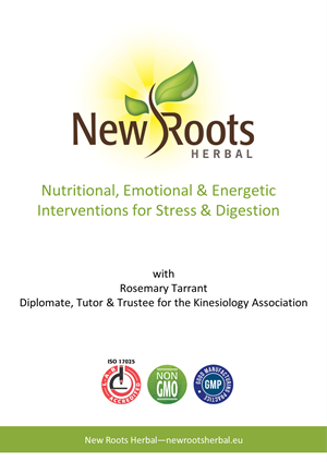 portada webinar slides Stress&Digestion-crop